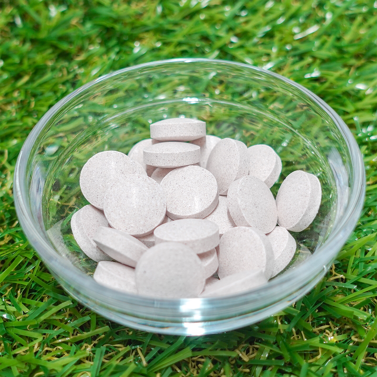 PYR TABLET HERB / パイラ タブレット ハーブ（ソーダ味）